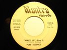 LISTEN Rare Modern Soul Funk 45 PURE ESSENCE Mantra