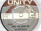 REGGAE BOYS - WHAT YOU GONNA DO - UNITY 7