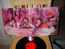 Original Moving Sidewalks Flash on Tantara Records labe