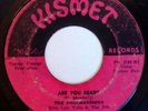 PROGRESSIONS ARE YOU READY 45 ON KISMET RARE JAMAICA