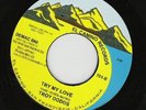 TROY DODDS-TRY MY LOVE-THE REAL THING-EL CAMINO