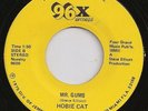 Miami Radio Station BREAK-IN Novelty 45 - HEAR IT