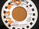 1960s Psych 45  FIRST CROW TO THE MOON - Roulette Promo