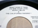 Northern Soul Buddy Miles/Raisins What Does It Take Dem