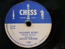 Muddy Waters 78  Rollin' Stone