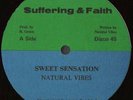 NATURAL VIBES / RARE SHAKA *ROOTS* REGGAE DUB 12 listen