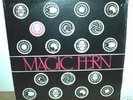 MAGIC FERN  self titled  LP   psych   Hans Pokora