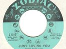 RUBY ANDREWS  Just Loving You  NORTHERN SOUL 45
