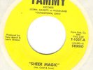 ICE-COLD-LOVE  Sheer Magic  TAMMY,  RARE Sweet Soul 45