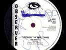 Heptones Through The Fire I Come UK Observer 12 Listen