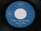 Northern Soul - Ted Wilson: I Can't Take No More 45