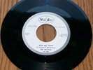 Beatles Please Me VJ 498 Vee Jay DJ Promo Demo Beattles