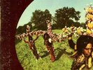 MAXIMILLIAN Same LP ABC '69 orig heavy fuzz funk psych