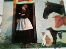 Vashti Bunyan Just Another Diamond Day Psych Folk LP UK