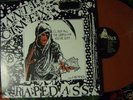ANTI CIMEX - RAPED ASS - 12