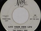 THE FAMILY TREE Prince Of Dreams 1966 GARAGE PSYCH 45