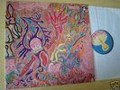 FLUTE & VOICE IMAGINATIONS OF LIGHT 1971 MINT KRAUTROCK