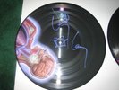 Tool Lateralus Signed lp , not Undertow , Aenima