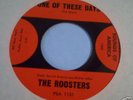THE ROOSTERS : One Of These Days 1966 Garage 45 LISTEN