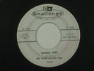 KIP TYLER & HIS FLIPS (Challenge wlp 45) JUNGLE HOP