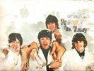 The Beatles Yesterday And Today butcher cover LP