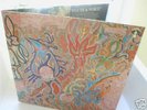 FLUTE & VOICE-IMAGINATION OF LIGHT-PILZ ORIGINAL-GER-NM
