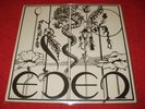 EDEN Rare UK Psych Folk LP PRIVATE PRESS POKORA 3* M-