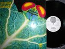 CATAPILLA / CHANGES/ VERY RARE LP Vertigo