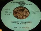 RARE GARAGE 45/ THE ES SHADES / UNITED AUDIO