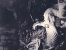 MUTIILATION : black millenium... - LP neuf limited 400