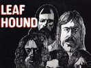 PSYCH.LEAF HOUND.GROWERS OF MUSHROOMS.ORIG U.S. LP.EX++