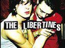 The Libertines New Mint Unplayed LP Limited Ed No. 0142