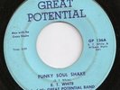 LISTEN- SICK FUNK 45- E.T. WHITE Funky Soul Shake PSYCO