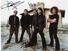 MY CHEMICAL ROMANCE FULLY SIGNED PICTURE -  W/COA