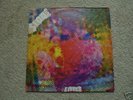 THE LITTER $100 Fine lp ORiGiNaL psych garage RARe