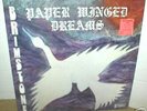 BRIMSTONE  Paper Winged Dreams  LP  psych   original