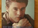 RICKY NELSON 'THE AMERICAN DREAM' COMPLETE BOX SET LPs