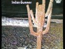 INDIAN SUMMER UK PROG. 