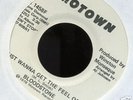bloodstone.just wanna get the feel.motownwdj mint