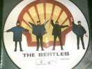 THE BEATLES HELP  SHELL VER. PICTURE DISC NM
