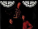 JIMI HENDRIX EXPERIENCE - Are you experienced (2LP New)