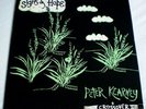 PETER KEARNEY & CROSSOVER Australian PSYCH FOLK Pokora