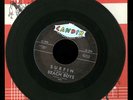 Xtra Nice Original Beach Boys 45 Surfin Luau Candix 301