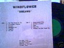 WINDFLOWER Dreams RARE LP psych rock title cover MINT