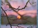 HANS KOLLER - VISION - ORIGINAL SABA - NM 