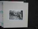 SUNN 0))) White Box 4LP Earth Boris 58 of 500