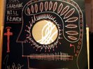 Joseph Arthur - Our Shadows Will Remain -*RARE VINYL*