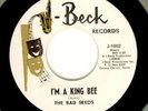 Bad Seeds  *Texas Garage Rocker* 