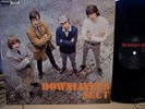 DOWNLINERS SECT SWEDEN SGLP 534 FREAKBEAT GARAGE LP
