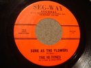 rare THE HI-TONES orig 1961 doo wop 45     SEG-WAY